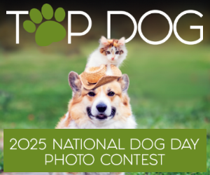 Dog Days Contest