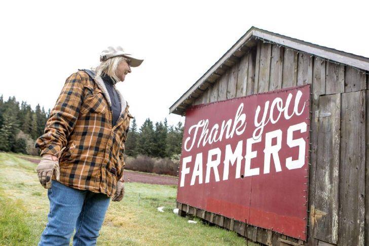 Field of dreams: New farmers look to rejuvenate once-fallow cranberry bogs